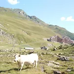 En Pleine Montagne Avec Vue Sur Marmottes لا مونجي
