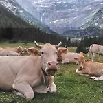 En Pleine Montagne Avec Vue Sur Marmottes شقة *