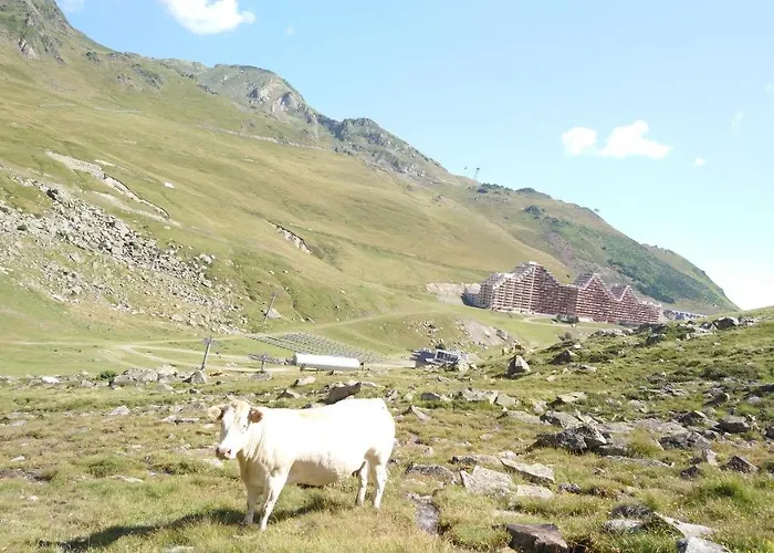 En Pleine Montagne Avec Vue Sur Marmottes La Mongie