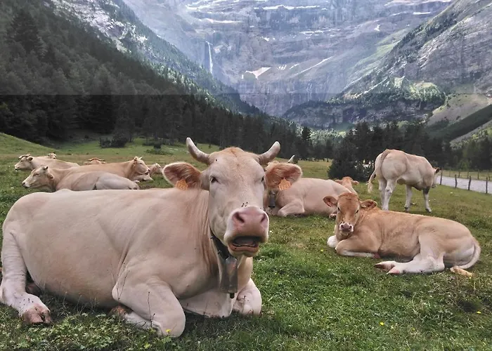 En Pleine Montagne Avec Vue Sur Marmottes Appartement *