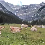 En Pleine Montagne Avec Vue Sur Marmottes アパート