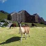 En Pleine Montagne Avec Vue Sur Marmottes *