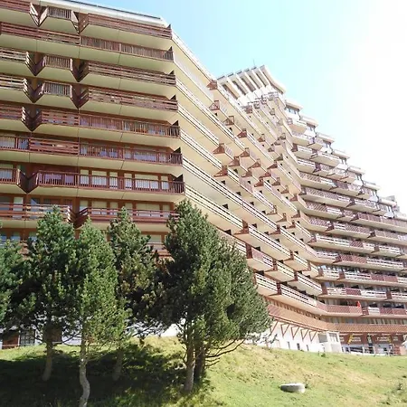 En Pleine Montagne Avec Vue Sur Marmottes