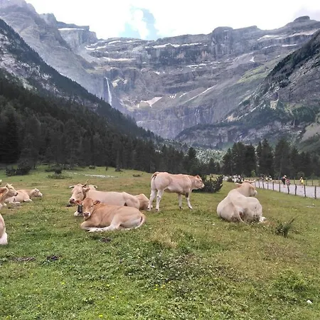 En Pleine Montagne Avec Vue Sur Marmottes Apartmán