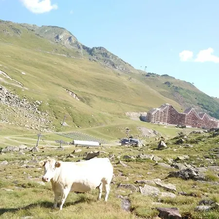 En Pleine Montagne Avec Vue Sur Marmottes La Mongie