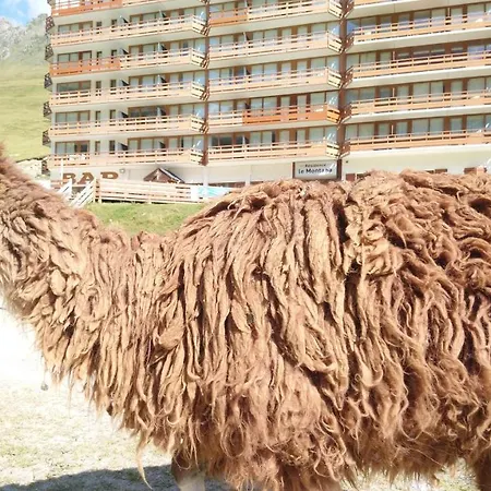 En Pleine Montagne Avec Vue Sur Marmottes *