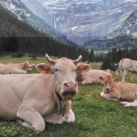 En Pleine Montagne Avec Vue Sur Marmottes Apartmán *