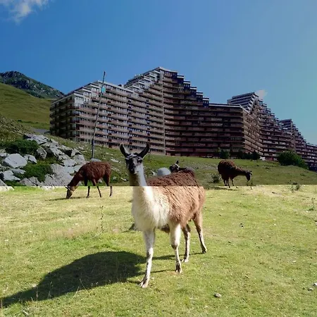 En Pleine Montagne Avec Vue Sur Marmottes *